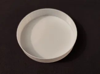 Circular Dish