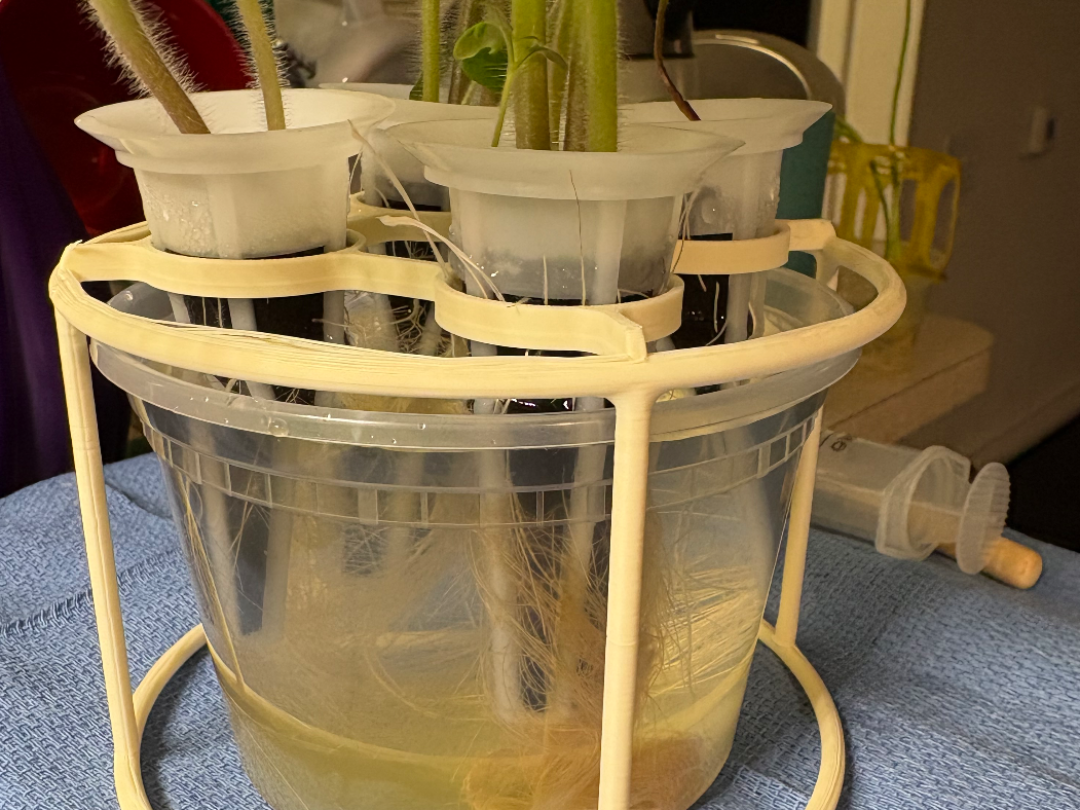 Hydroponic Basket Holder For Takeout Container
