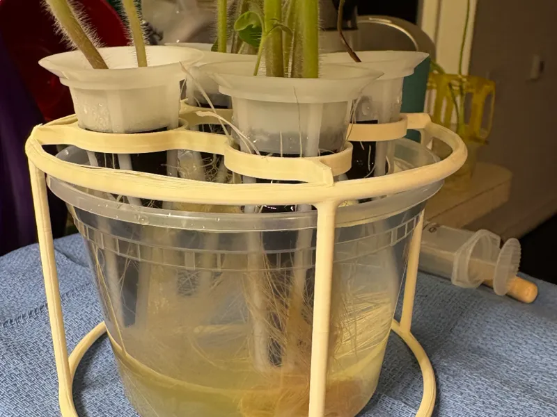 Hydroponic Basket Holder For Takeout Container