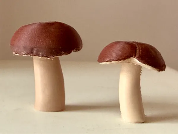 https://makerworld.bblmw.com/makerworld/model/USd3e429e87d985a/design/2025-09-17_1b2d47743e5c6.jpg