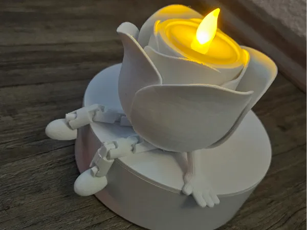 https://makerworld.bblmw.com/makerworld/model/USd3e6e33038f515/design/2025-01-24_c6eafa372246.jpg