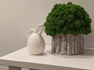 Cute Bunny Ear Egg
