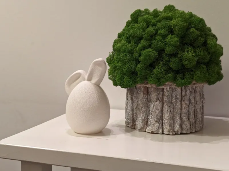 Cute Bunny Ear Egg