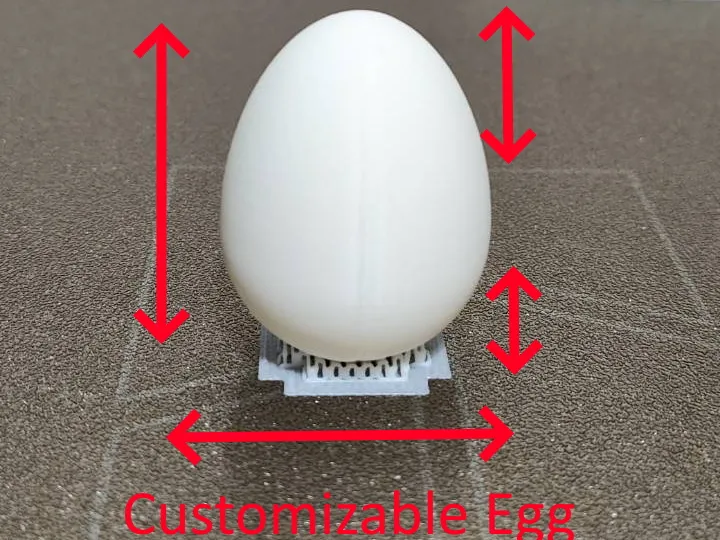 Parametric Egg Generator