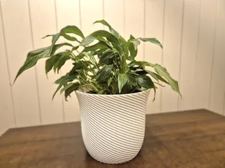 Vase fleurs