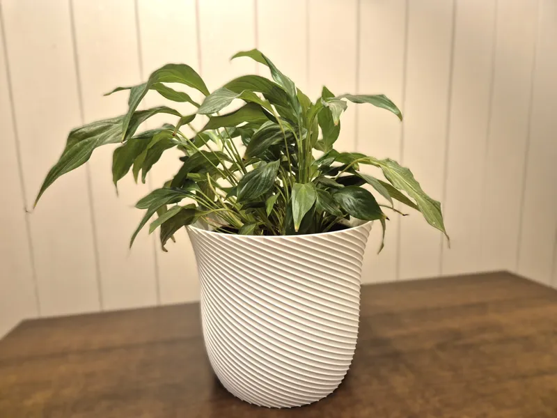 Vase fleurs