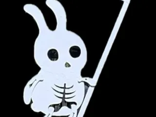 Shadow Puppet Bunny