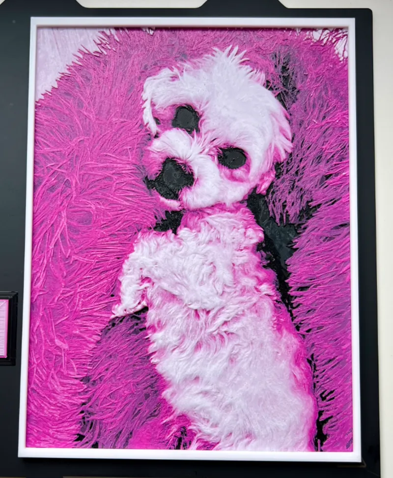 HueForge Maltese dog