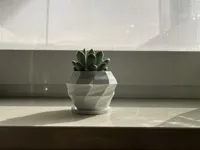 Modern Plant Pot