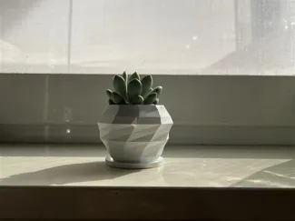 Modern Plant Pot