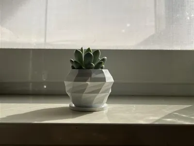 Modern Plant Pot