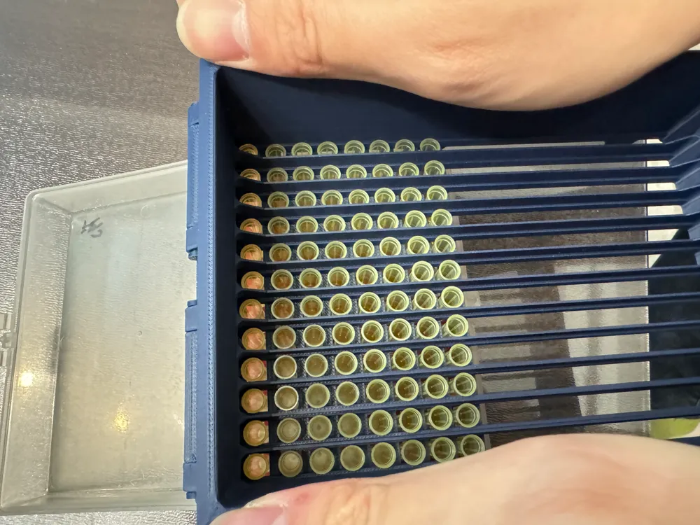 200 µL pipette tip sorting device / 200 µL 插枪头神器 by FLOWERS GEAR