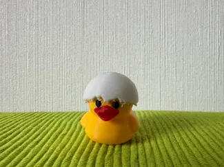 Frisch geschlüpfte Ente