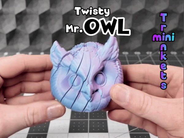https://makerworld.bblmw.com/makerworld/model/USd4066e7b480c58/design/6292519a3e0b4f1e.gif