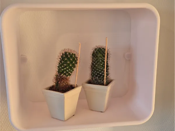 https://makerworld.bblmw.com/makerworld/model/USd40921eb070bdc/design/2025-08-10_310635b54399b8.jpg