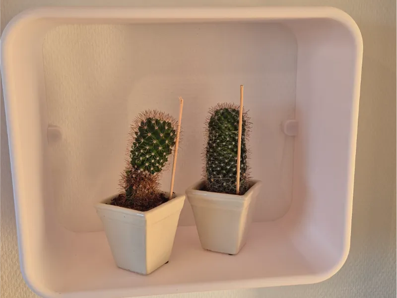 Wall Shelf