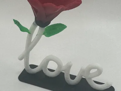 Love Rose Colored