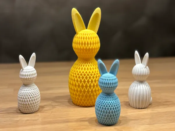 https://makerworld.bblmw.com/makerworld/model/USd40c7dec239b8c/design/2025-02-13_fb154ede4b24c.jpeg