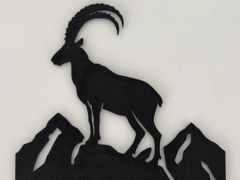 Capricorn