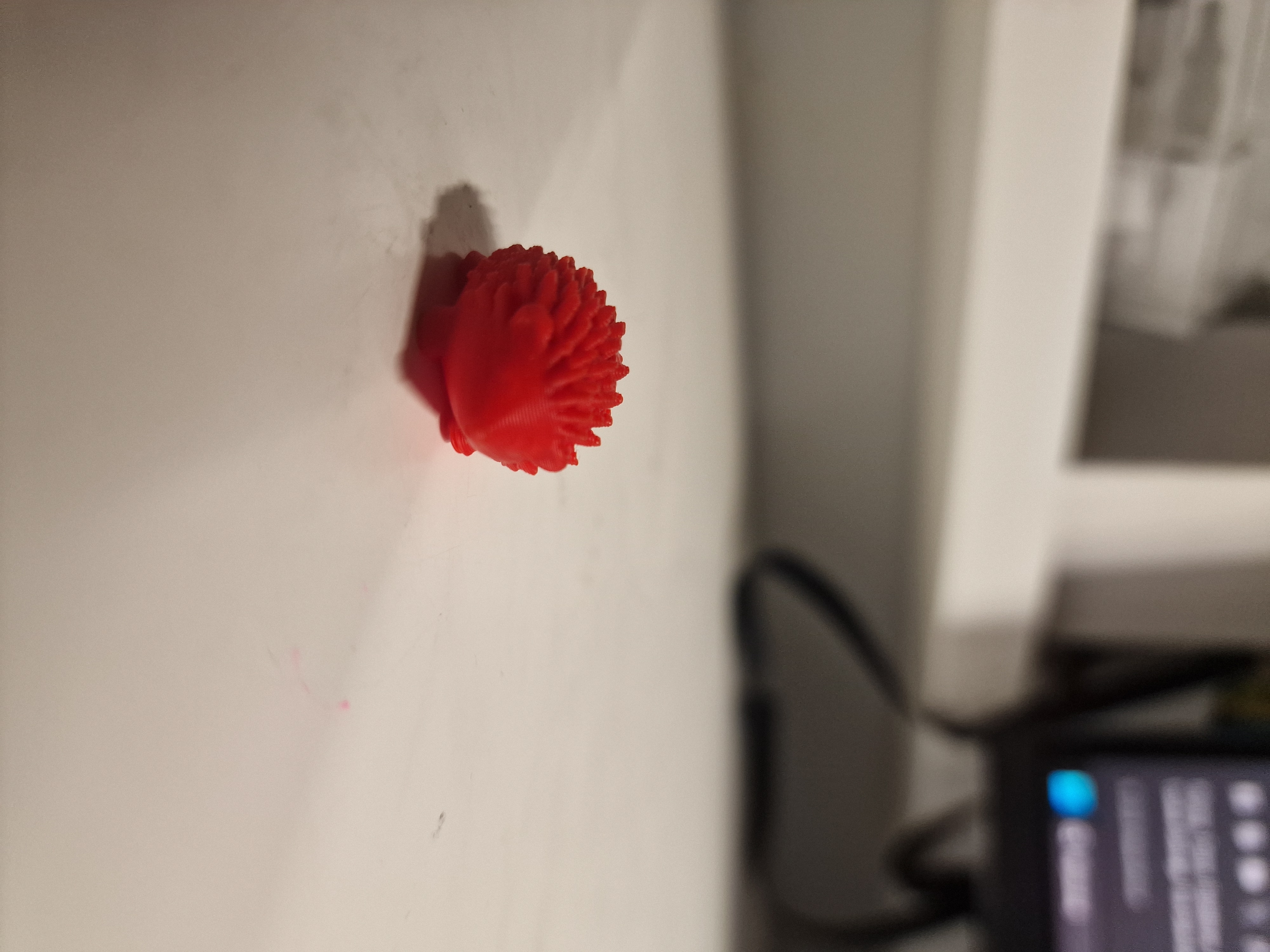 Mini Hedgehog Fidget - Micro Zoo - 1