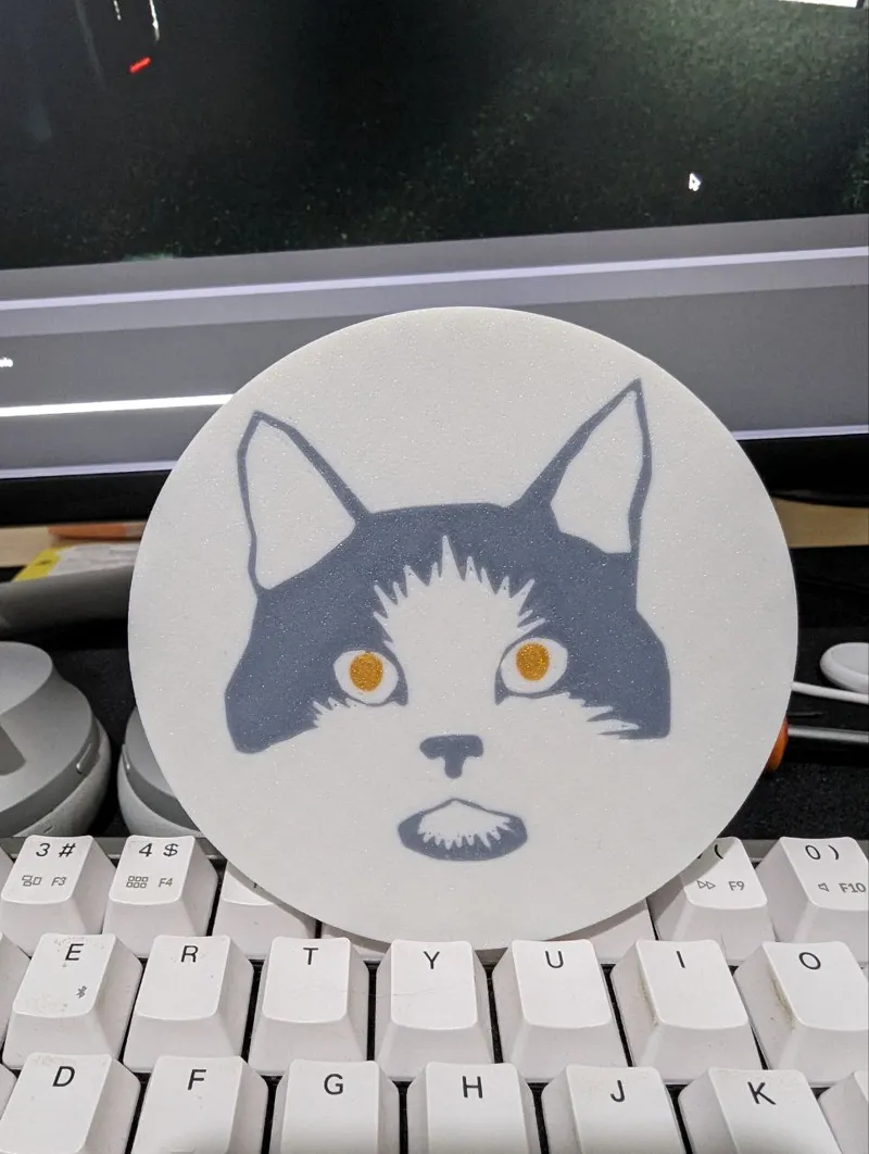Cat Coaster