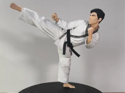 Taekwondo Figure