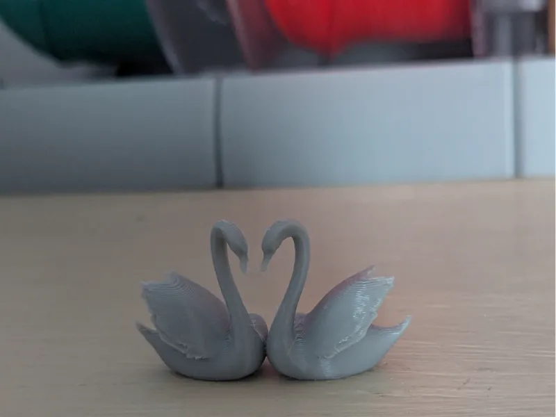Love Swans