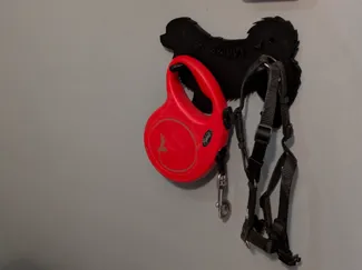 Dog leash & harness holder (tibetan spaniel)