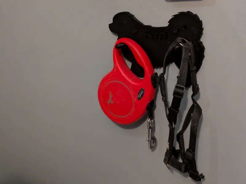 Dog leash & harness holder (tibetan spaniel)