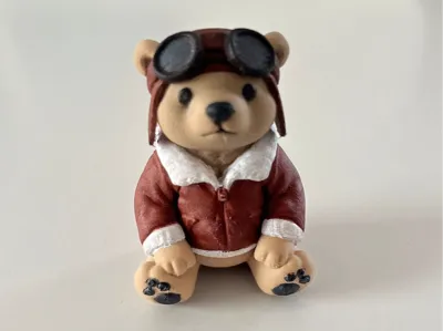 aviator bear