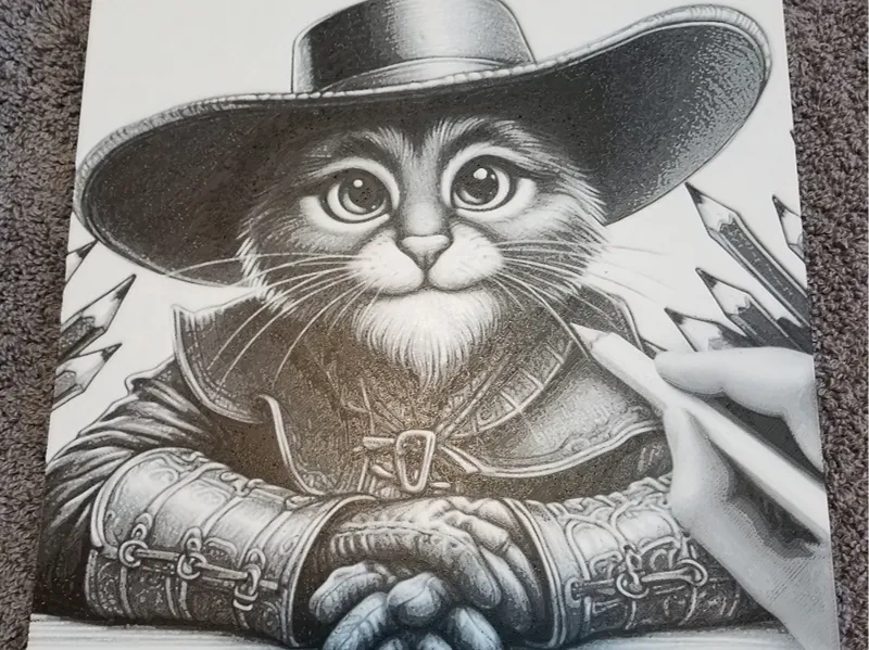 Buccaneer Pirate Cat 3