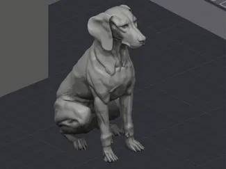 Hungarian Vizsla