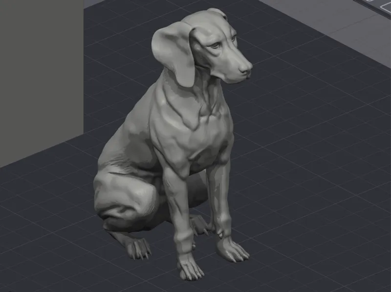 Hungarian Vizsla