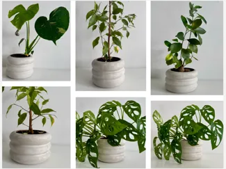 Pot mold 