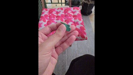 Risiko Tank Magnetic Fidget