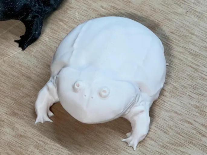 Wednesday Frog (Budgett Frog) Wednesday My Dudes