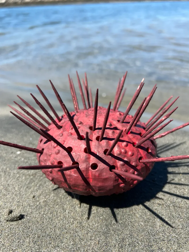 Sea Urchin Toothpick Holder