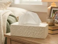 tissue box 0.16mm layer, 2 walls, 15% infill