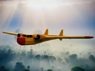 Gentle Goose RC Plane