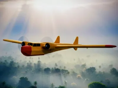 Gentle Goose RC Plane