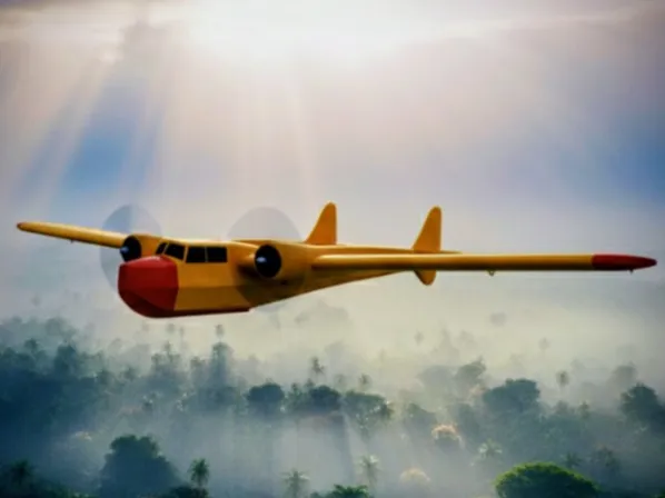 Gentle Goose RC Plane