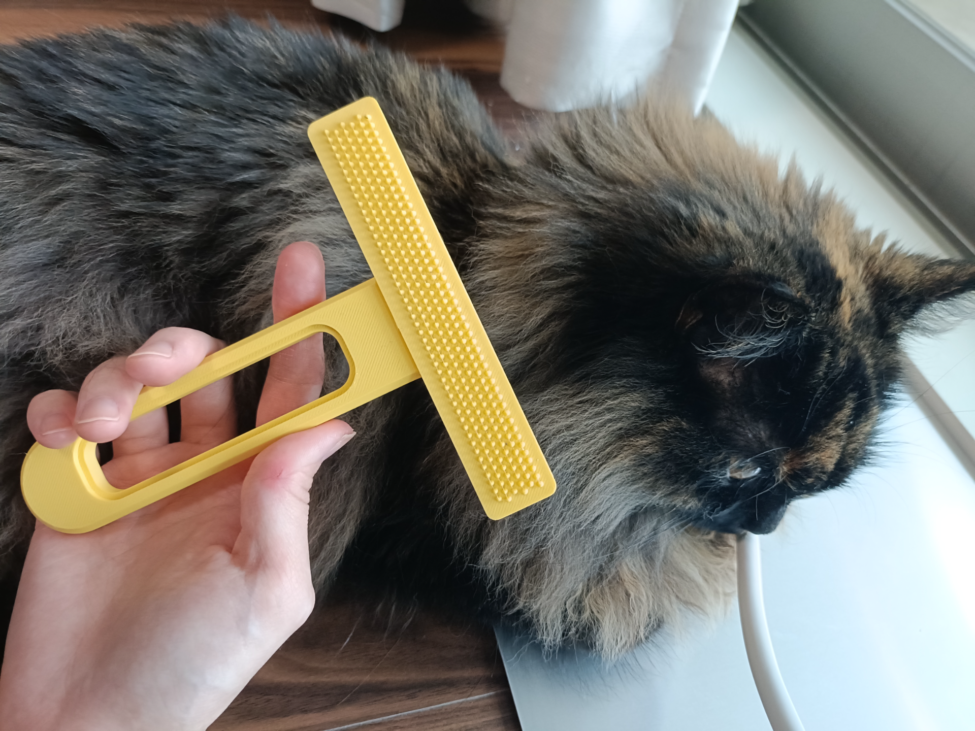 Pet Hair Remover Brush for Carpet & Sofa - 1