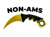 Non-AMS 
