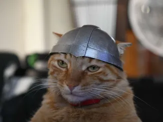 S-Rank Monster no "Behemoth" - CAT HELMET