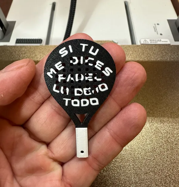 https://makerworld.bblmw.com/makerworld/model/USd447f14ce091d2/design/2024-09-10_49af7b134eb4c.jpg