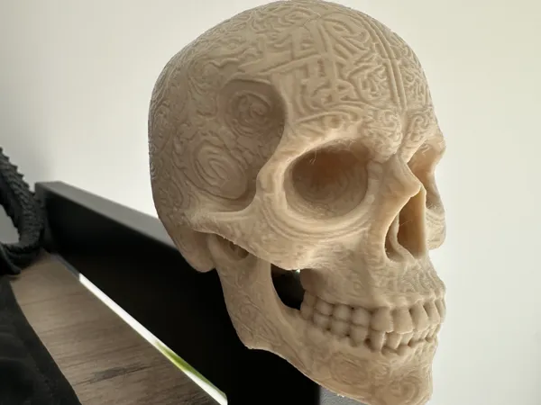 https://makerworld.bblmw.com/makerworld/model/USd44803fa56f274/design/2025-09-24_e5a7de36921878.jpg
