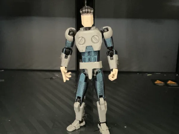 https://makerworld.bblmw.com/makerworld/model/USd449057ca562aa/design/158b6f1aa3486420.png