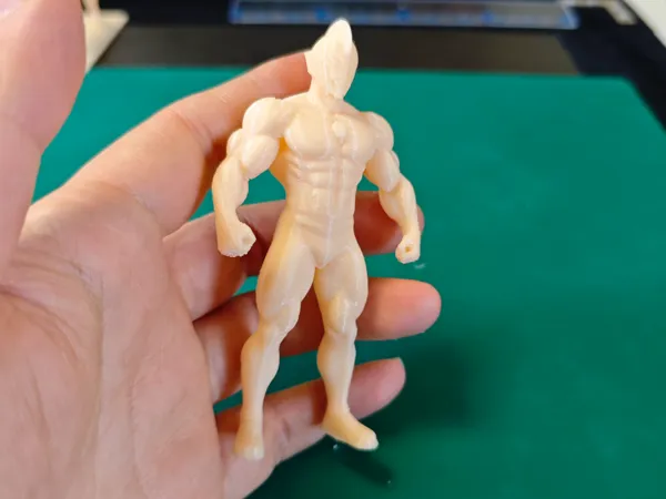 https://makerworld.bblmw.com/makerworld/model/USd44a095be1e1c2/design/993352475f9d6bdb.jpg