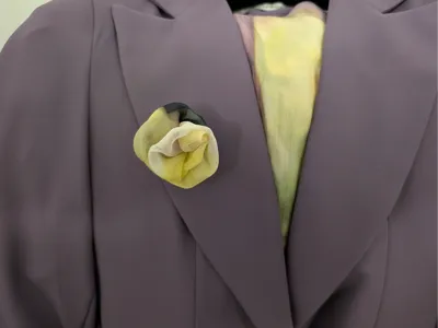 Parametric Magnetic Pin for Clothes & Decorations