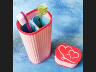 Travel Toothbrush Case